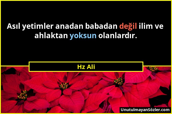 Hz Ali - Asıl yetimler anadan babadan değil ilim ve ahlaktan yoksun olanlardır....