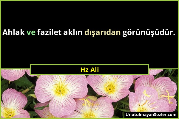 Hz Ali - Ahlak ve fazilet aklın dışarıdan görünüşüdür....