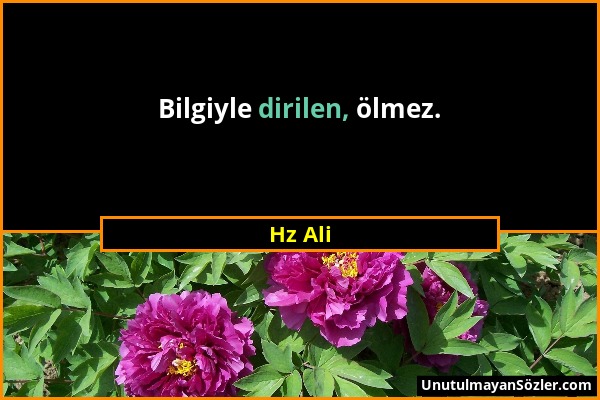 Hz Ali - Bilgiyle dirilen, ölmez....