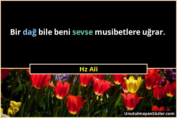 Hz Ali - Bir dağ bile beni sevse musibetlere uğrar....