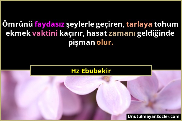 Hz Ebubekir - Ömrünü faydasız şeylerle geçiren, tarlaya tohum ekmek vaktini kaçırır, hasat zamanı geldiğinde pişman olur....