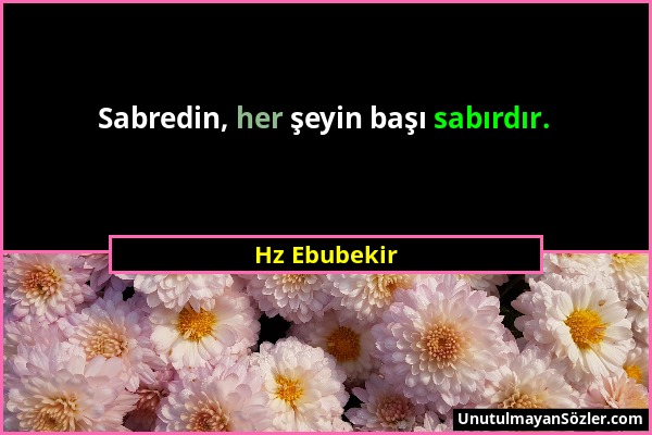 Hz Ebubekir - Sabredin, her şeyin başı sabırdır....