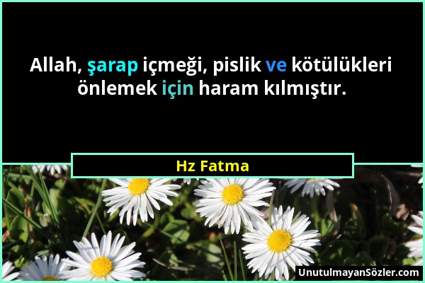 Hz Fatma - Allah, şarap içmeği, pislik ve kötülükleri önlemek için haram kılmıştır....