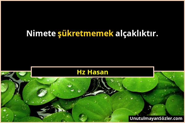 Hz Hasan - Nimete şükretmemek alçaklıktır....