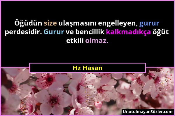 Hz Hasan - Öğüdün size ulaşmasını engelleyen, gurur perdesidir. Gurur ve bencillik kalkmadıkça öğüt etkili olmaz....