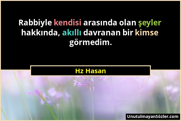 Hz Hasan - Rabbiyle kendisi arasında olan şeyler hakkında, akıllı davranan bir kimse görmedim....