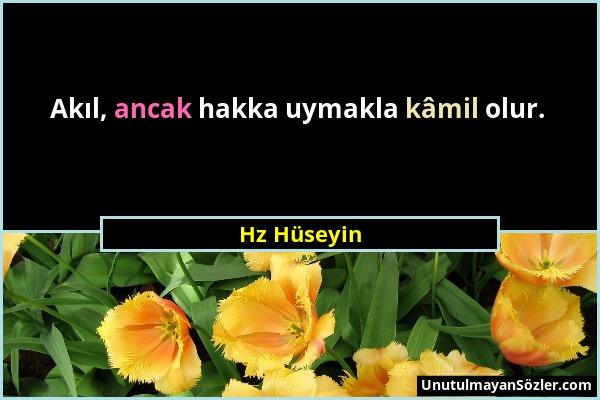 Hz Hüseyin - Akıl, ancak hakka uymakla kâmil olur....