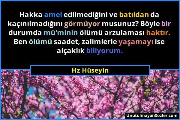 Hz Hüseyin - Hakka amel edilmediğini ve batıldan da kaçınılmadığını görmüyor musunuz? Böyle bir durumda mü'minin ölümü arzulaması haktır. Ben ölümü sa...