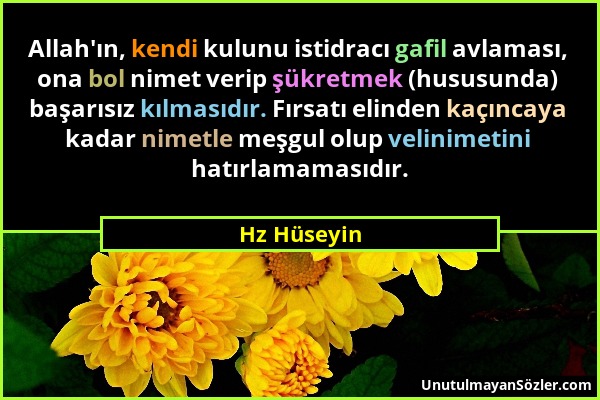 Hz Hüseyin - Allah'ın, kendi kulunu istidracı gafil avlaması, ona bol nimet verip şükretmek (hususunda) başarısız kılmasıdır. Fırsatı elinden kaçıncay...