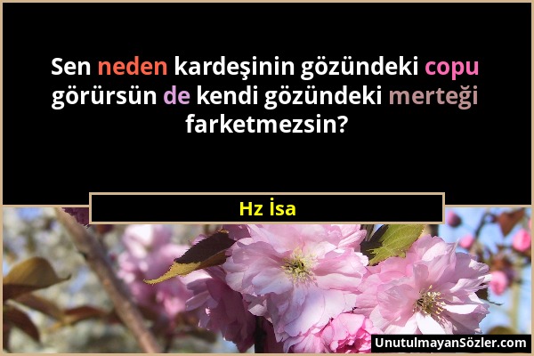 Hz İsa - Sen neden kardeşinin gözündeki copu görürsün de kendi gözündeki merteği farketmezsin?...