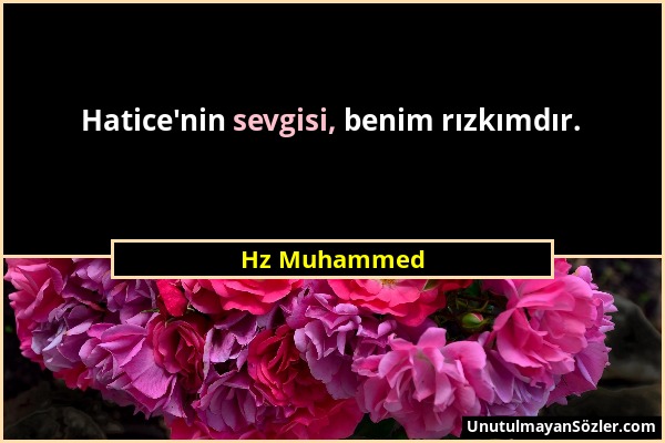 Hz Muhammed - Hatice'nin sevgisi, benim rızkımdır....