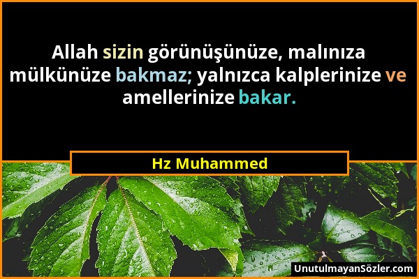 Hz Muhammed - Allah sizin görünüşünüze, malınıza mülkünüze bakmaz; yalnızca kalplerinize ve amellerinize bakar....