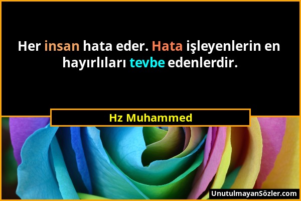 Hz Muhammed - Her insan hata eder. Hata işleyenlerin en hayırlıları tevbe edenlerdir....