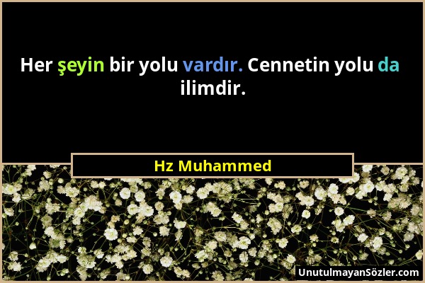 Hz Muhammed - Her şeyin bir yolu vardır. Cennetin yolu da ilimdir....