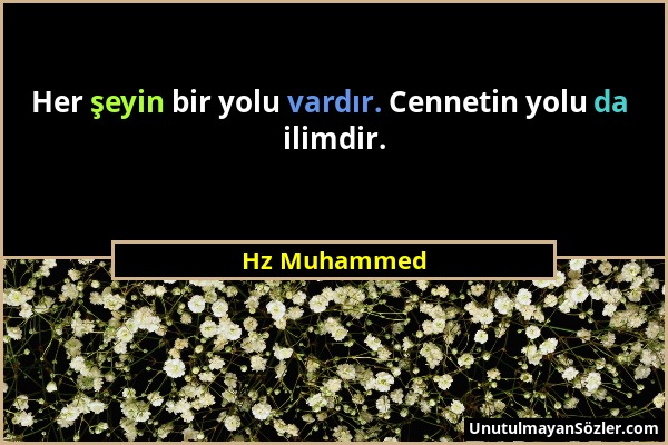 Hz Muhammed - Her şeyin bir yolu vardır. Cennetin yolu da ilimdir....