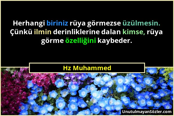 Hz Muhammed - Herhangi biriniz rüya görmezse üzülmesin. Çünkü ilmin derinliklerine dalan kimse, rüya görme özelliğini kaybeder....
