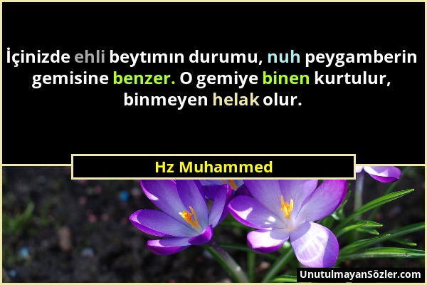 Hz Muhammed - İçinizde ehli beytımın durumu, nuh peygamberin gemisine benzer. O gemiye binen kurtulur, binmeyen helak olur....