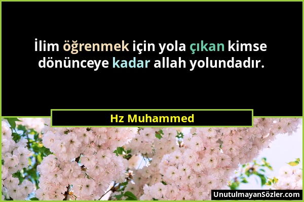 Hz Muhammed - İlim öğrenmek için yola çıkan kimse dönünceye kadar allah yolundadır....