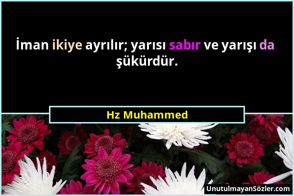 Hz Muhammed - İman ikiye ayrılır; yarısı sabır ve yarışı da şükürdür....