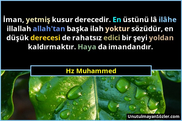 Hz Muhammed - İman, yetmiş kusur derecedir. En üstünü lâ ilâhe illallah allah'tan başka ilah yoktur sözüdür, en düşük derecesi de rahatsız edici bir ş...