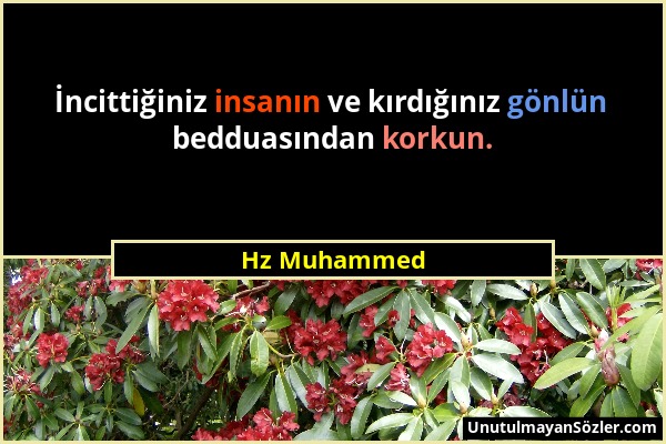 Hz Muhammed - İncittiğiniz insanın ve kırdığınız gönlün bedduasından korkun....