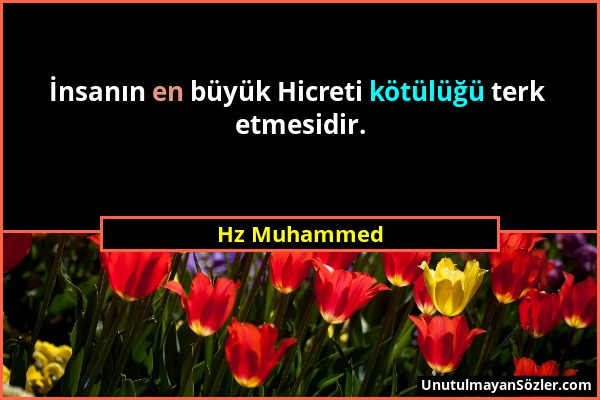 Hz Muhammed - İnsanın en büyük Hicreti kötülüğü terk etmesidir....