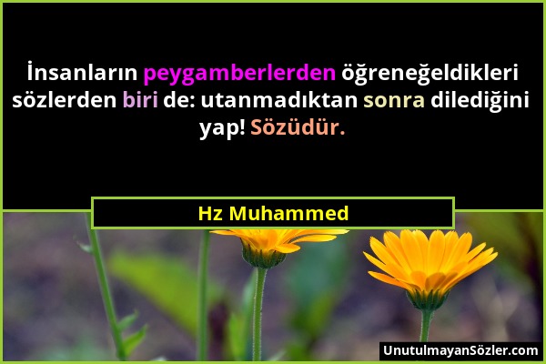 Hz Muhammed - İnsanların peygamberlerden öğreneğeldikleri sözlerden biri de: utanmadıktan sonra dilediğini yap! Sözüdür....