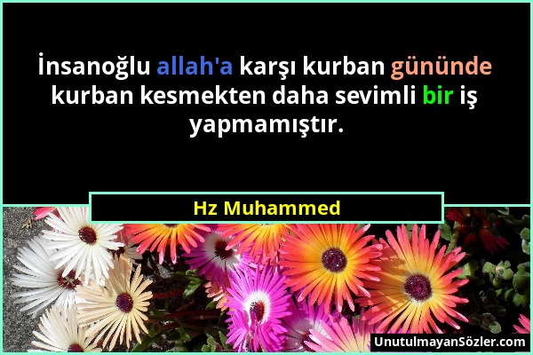 Hz Muhammed - İnsanoğlu allah'a karşı kurban gününde kurban kesmekten daha sevimli bir iş yapmamıştır....