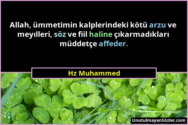 Hz Muhammed - Allah, ümmetimin kalplerindeki kötü arzu ve meyılleri, söz ve fiil haline çıkarmadıkları müddetçe affeder....