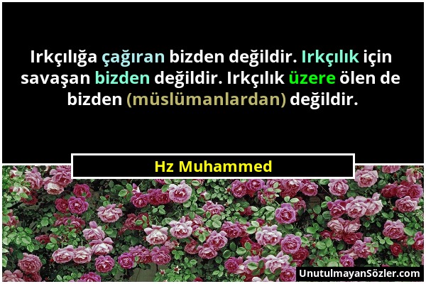 Hz Muhammed - Irkçılığa çağıran bizden değildir. Irkçılık için savaşan bizden değildir. Irkçılık üzere ölen de bizden (müslümanlardan) değildir....