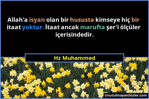 Hz Muhammed - Allah'a isyan olan bir hususta kimseye hiç bir itaat yoktur. İtaat ancak marufta şer'i ölçüler içerisindedir....