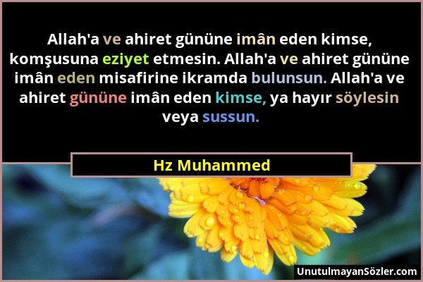 Hz Muhammed - Allah'a ve ahiret gününe imân eden kimse, komşusuna eziyet etmesin. Allah'a ve ahiret gününe imân eden misafirine ikramda bulunsun. Alla...