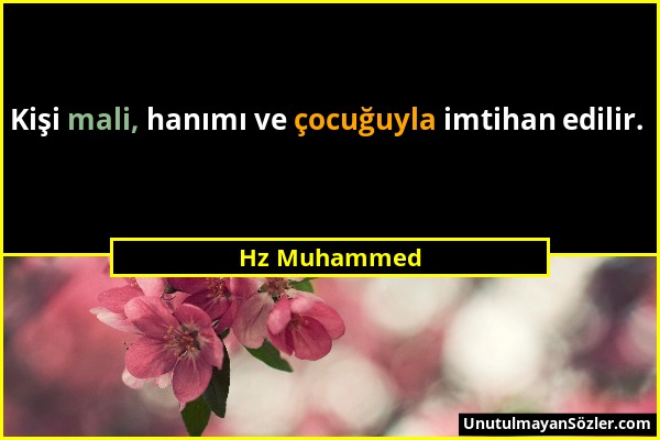 Hz Muhammed - Kişi mali, hanımı ve çocuğuyla imtihan edilir....
