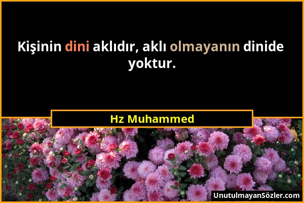 Hz Muhammed - Kişinin dini aklıdır, aklı olmayanın dinide yoktur....
