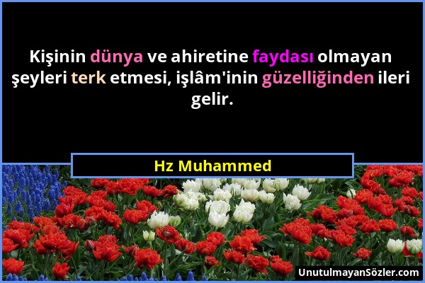Hz Muhammed - Kişinin dünya ve ahiretine faydası olmayan şeyleri terk etmesi, işlâm'inin güzelliğinden ileri gelir....