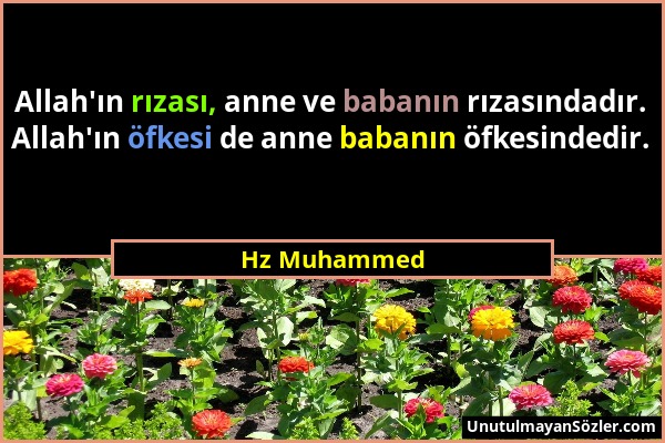 Hz Muhammed - Allah'ın rızası, anne ve babanın rızasındadır. Allah'ın öfkesi de anne babanın öfkesindedir....