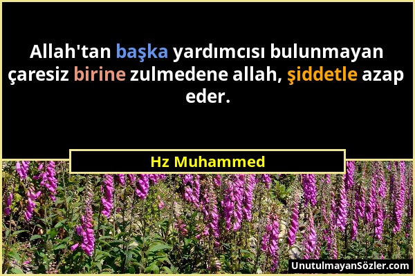 Hz Muhammed - Allah'tan başka yardımcısı bulunmayan çaresiz birine zulmedene allah, şiddetle azap eder....