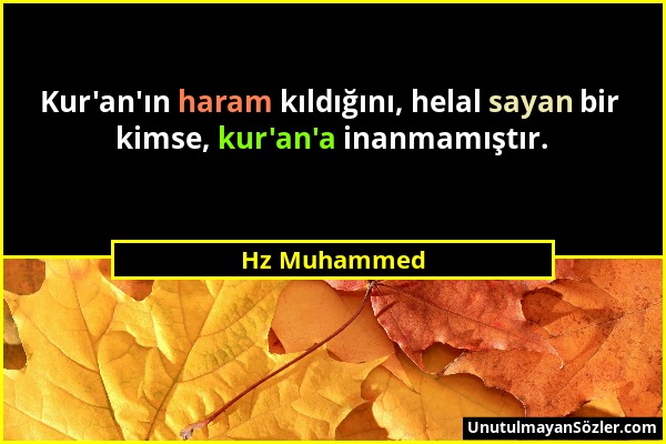 Hz Muhammed - Kur'an'ın haram kıldığını, helal sayan bir kimse, kur'an'a inanmamıştır....