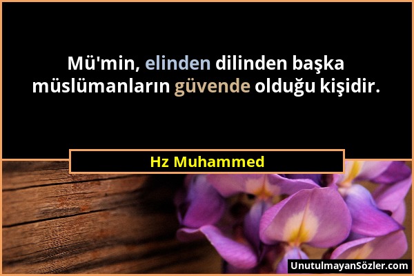 Hz Muhammed - Mü'min, elinden dilinden başka müslümanların güvende olduğu kişidir....