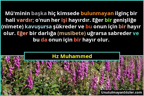 Hz Muhammed - Mü'minin başka hiç kimsede bulunmayan ilginç bir hali vardır; o'nun her işi hayırdır. Eğer bir genişliğe (nimete) kavuşursa şükreder ve...