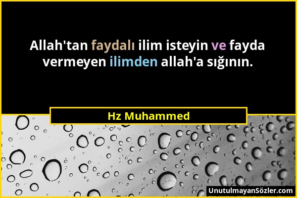 Hz Muhammed - Allah'tan faydalı ilim isteyin ve fayda vermeyen ilimden allah'a sığının....