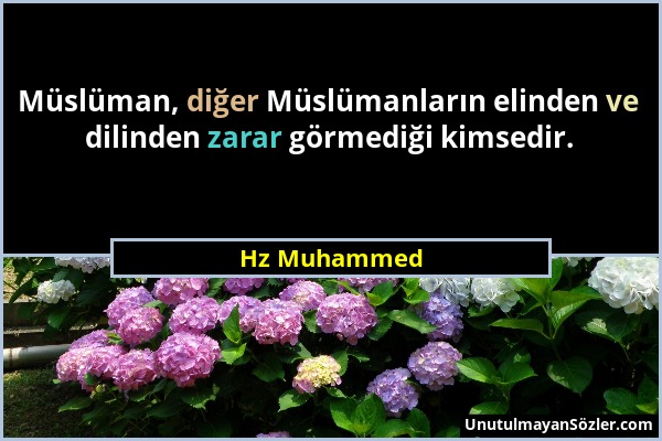 Hz Muhammed - Müslüman, diğer Müslümanların elinden ve dilinden zarar görmediği kimsedir....