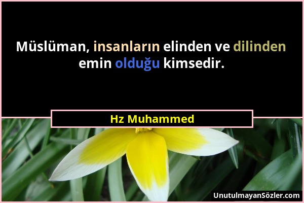 Hz Muhammed - Müslüman, insanların elinden ve dilinden emin olduğu kimsedir....