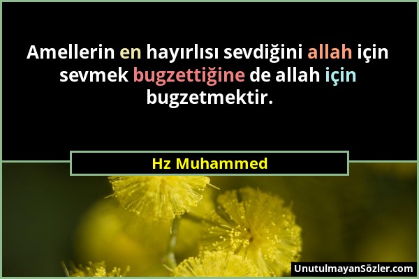Hz Muhammed - Amellerin en hayırlısı sevdiğini allah için sevmek bugzettiğine de allah için bugzetmektir....