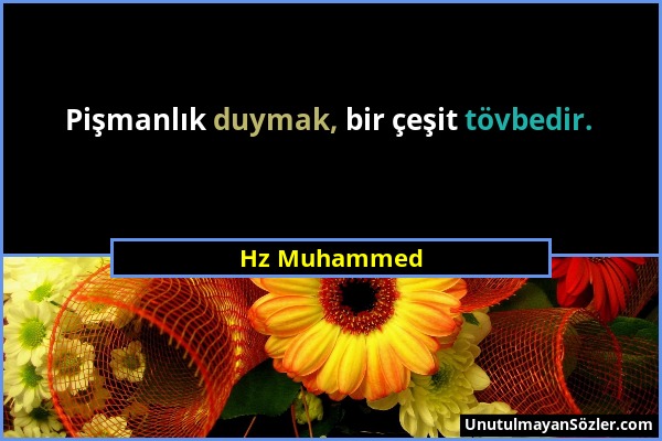 Hz Muhammed - Pişmanlık duymak, bir çeşit tövbedir....