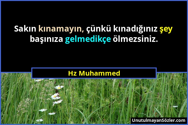 Hz Muhammed - Sakın kınamayın, çünkü kınadığınız şey başınıza gelmedikçe ölmezsiniz....