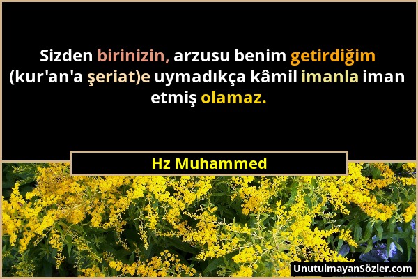 Hz Muhammed - Sizden birinizin, arzusu benim getirdiğim (kur'an'a şeriat)e uymadıkça kâmil imanla iman etmiş olamaz....