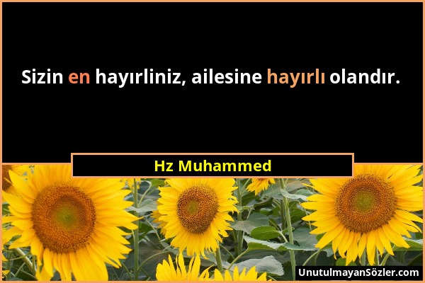Hz Muhammed - Sizin en hayırliniz, ailesine hayırlı olandır....