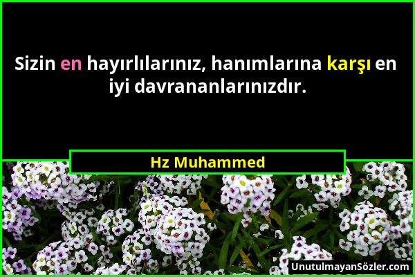 Hz Muhammed - Sizin en hayırlılarınız, hanımlarına karşı en iyi davrananlarınızdır....