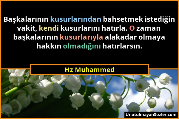 Hz Muhammed - Başkalarının kusurlarından bahsetmek istediğin vakit, kendi kusurlarını hatırla. O zaman başkalarının kusurlarıyla alakadar olmaya hakkı...